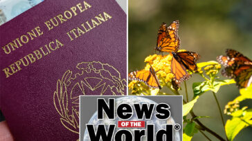 news-of-the-world:-what-you-missed-this-week-internationally