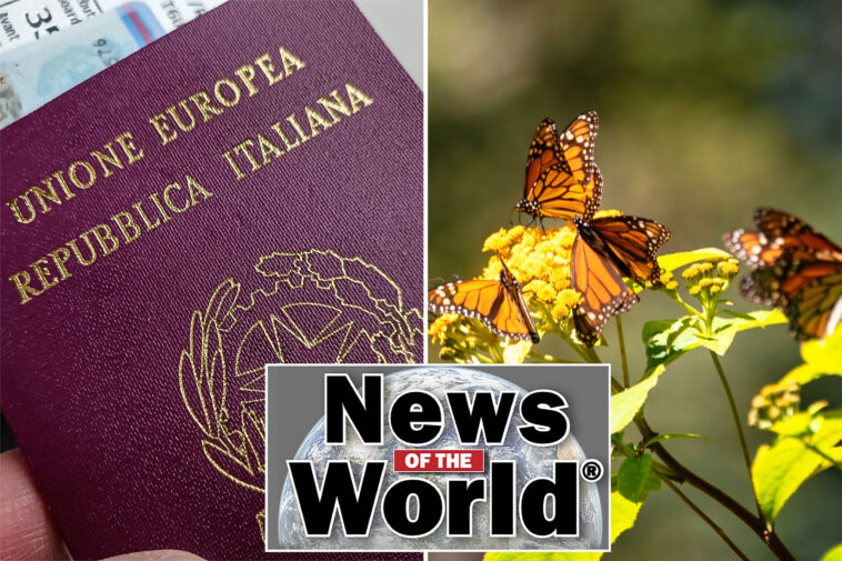 news-of-the-world:-what-you-missed-this-week-internationally