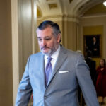 ted-cruz-suggests-splitting-ice,-cbp-funding-from-dhs-funding