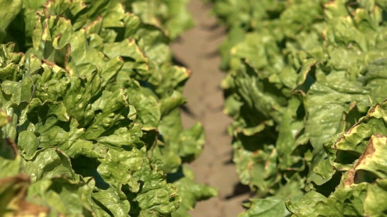 colorado-river-management-plans-to-be-determined-by-government-after-negotiations-stall