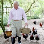 king-charles’-chicken-coop-at-highgrove-has-a-name-that-will-make-you-do-a-double-take