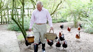 king-charles’-chicken-coop-at-highgrove-has-a-name-that-will-make-you-do-a-double-take