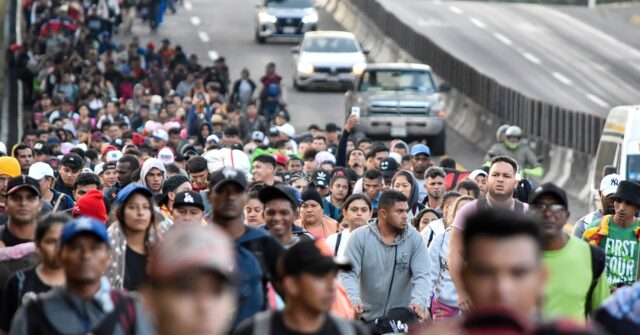 survey-shows-few-biden-migrants-were-asylum-seekers