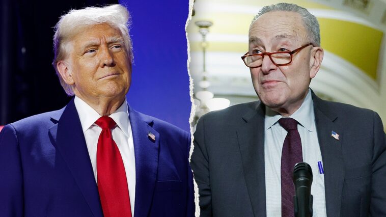 schumer-knocks-trump-on-iran,-plan-to-send-ice-to-airports:-‘asking-for-trouble’