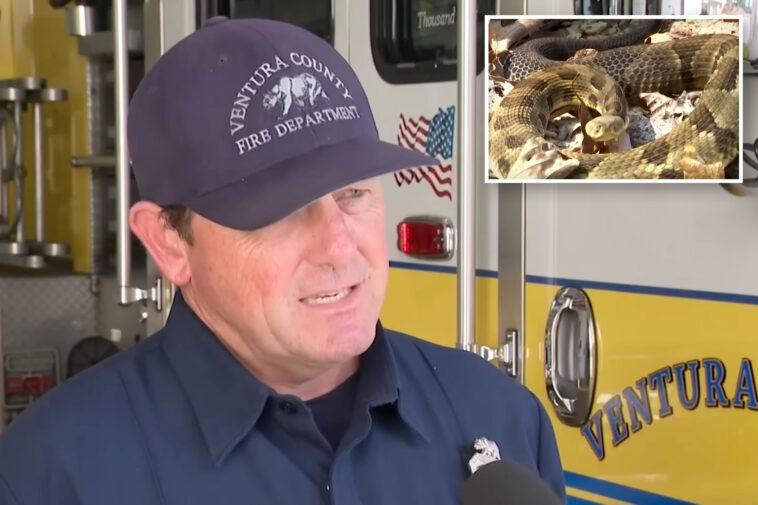 girl-is-bitten-by-a-rattlesnake-in-california-as-dangerous-encounters-rise