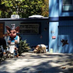 billionaire-neighbors-go-to-war-with-iconic-montecito-‘pig-house’