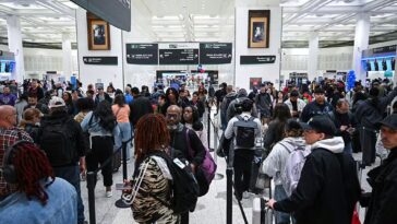 what-do-ice-officers-really-think-of-trump’s-plan-to-deploy-agents-for-airport-security?