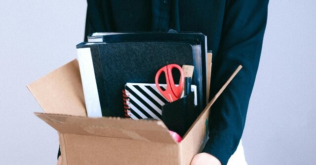 ‘code-red’-author-on-‘war-room’:-fear-of-ai-job-losses-being-used-to-push-wealth-redistribution