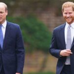 princess-diana-prepared-prince-harry-to-be-king-over-‘shy’-prince-william:-friend