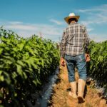 parkinson’s-risk-increases-with-exposure-to-common-chemical,-study-suggests