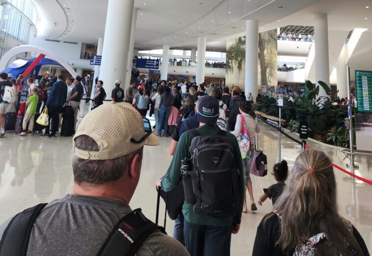 drugs,-sweat,-and-tears:-my-fight-through-spring-break-tsa-lines-during-the-democrat-dhs-shutdown