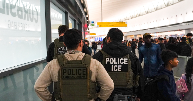 american-federation-of-government-employees-rages-over-ice-agents-assisting-in-airports