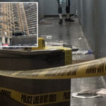 deranged-nyc-woman-charged-in-deadly-scissor-attack-on-elderly-roommates:-cops