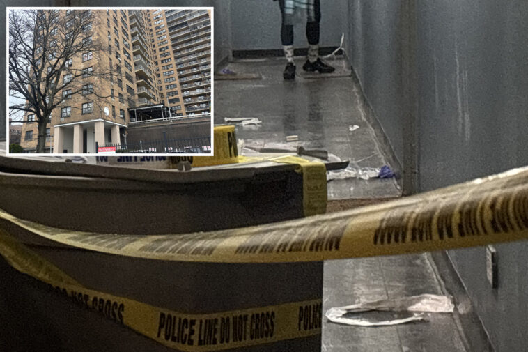 deranged-nyc-woman-charged-in-deadly-scissor-attack-on-elderly-roommates:-cops