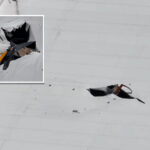 helicopter-crashes-through-roof-of-florida-warehouse,-killing-2