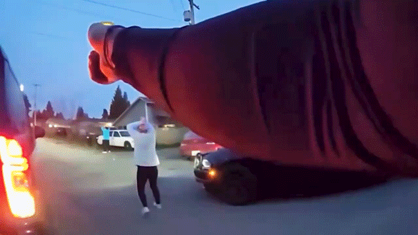 repeat-offender-nears-100th-arrest-after-theft-spree,-drugs-and-wild-high-speed-chase:-police