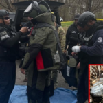 over-5-explosive-devices-discovered-in-fort-washington-park-in-maryland