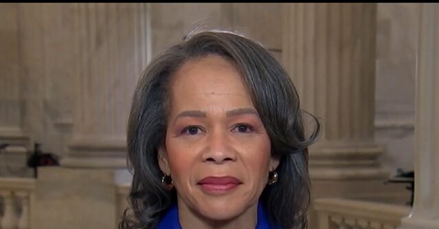 dem-sen.-blunt-rochester:-‘we’re-fighting’-on-dhs-shutdown-that’s-gop’s-fault