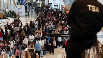 musk-moves-to-fix-long-travel-waits-caused-by-dem-shutdown:-trump-just-gave-the-green-light