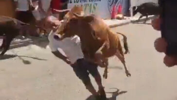 wild-moment-raging-bull-knocks-festivalgoer-out-with-a-flying-headbutt