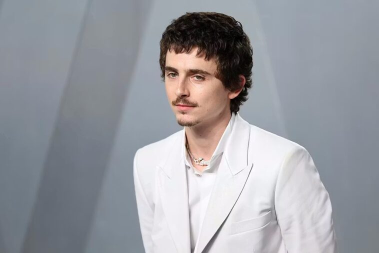 the-strange-backlash-against-timothee-chalamet