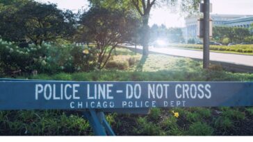 chicago-democrat-suggests-woman-murdered-by-illegal-‘startled’-her-killer,-shares-blame