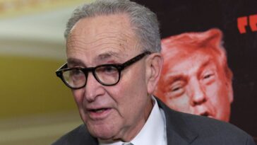 chuck-schumer-predicted-ice-in-airports-would-lead-to-‘trouble’-–-he-couldn’t-have-been-more-wrong