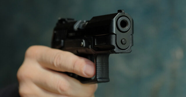 alleged-intruder-in-critical-condition-after-kicking-in-door,-being-shot-by-homeowner