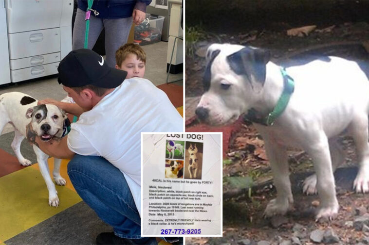 missing-dog-reunited-with-family-—-11-years-after-he-was-stolen-from-their-backyard