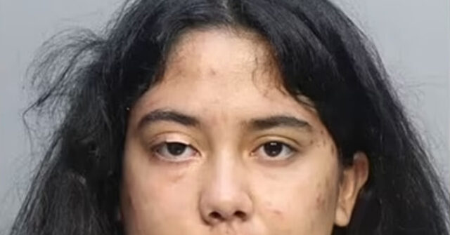 florida-woman-sentenced-to-probation-for-trying-to-hire-hitman-to-kill-her-toddler