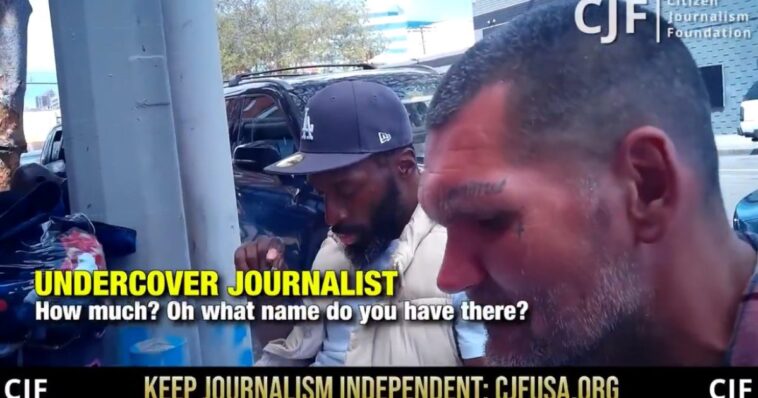 breaking:-california-election-fraud-crimes-caught-on-camera:-homeless-people-paid-by-petitioners-to-forge-real-voters’-signatures-to-sign-ballot-petitions-(video)