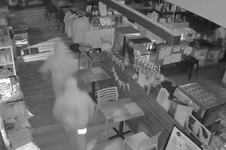 shocking-moment-hoodie-clad-bandits-ransack-indie-bookstore-at-5am-—-as-owner-makes-difficult-decision