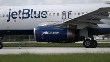 jetblue-flight-bound-for-jfk-strikes-coyote-on-rhode-island-runway-during-takeoff:-‘we-heard-a-thud’