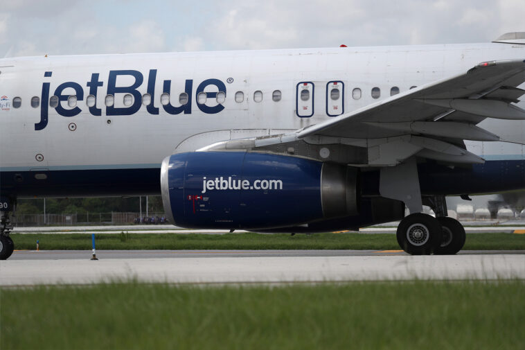 jetblue-flight-bound-for-jfk-strikes-coyote-on-rhode-island-runway-during-takeoff:-‘we-heard-a-thud’