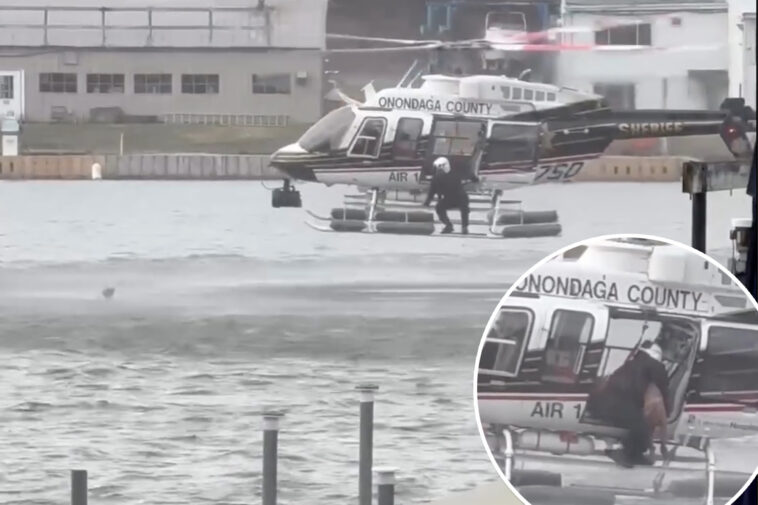 dog-‘continuously-shivers’-after-troubling-rescue-from-upstate-ny-river