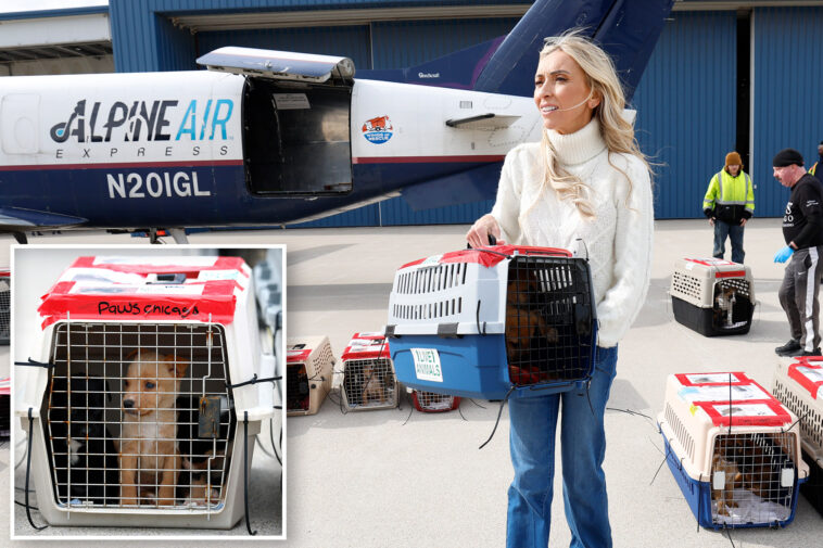 giuliana-rancic-leads-the-pack-as-windy-city-welcomes-100+-rescue-dogs-from-california