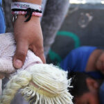 california-mayor-says-state-leaders-protect-child-trafficking-by-migrants