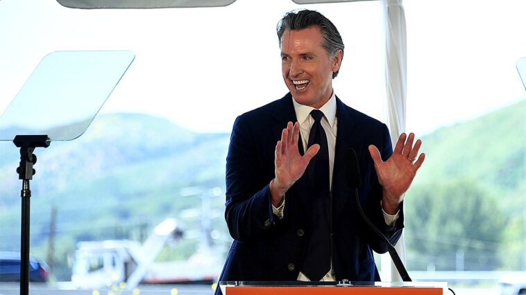 newsom’s-failed-leadership-has-let-california-become-a-land-of-fraud-and-scams