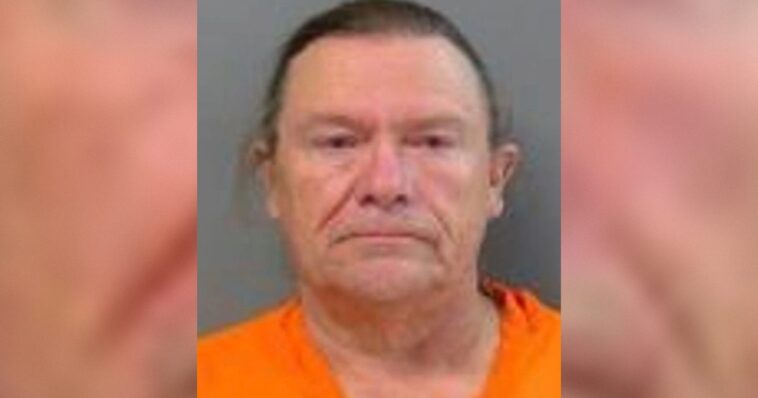 minnesota-election-judge-pleads-guilty-to-letting-unregistered-voters-cast-ballots-in-2024-election