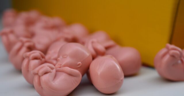 spain-equality-ministry-sued-for-‘appropriating’-jurist’s-abortion-reform-draft