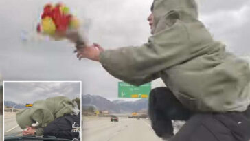 idiotic-influencer-arrested-over-wildly-viral-video-of-him-riding-hood-of-car-on-highway:-‘dumb-decision’