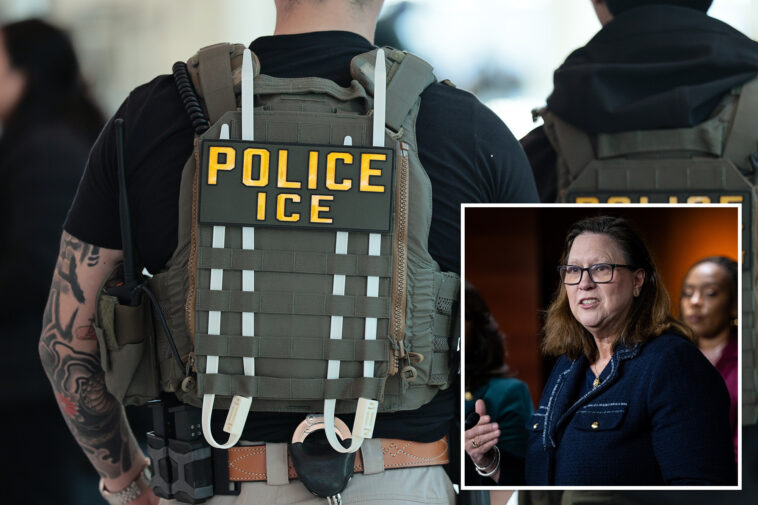 democrat-rep.-julie-johnson-claims-ice-carrying-out-‘terroristic-attacks’-on-citizens