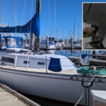 thief’s-cunning-trick-to-hide-heist-of-30-foot-yacht-from-la-marina