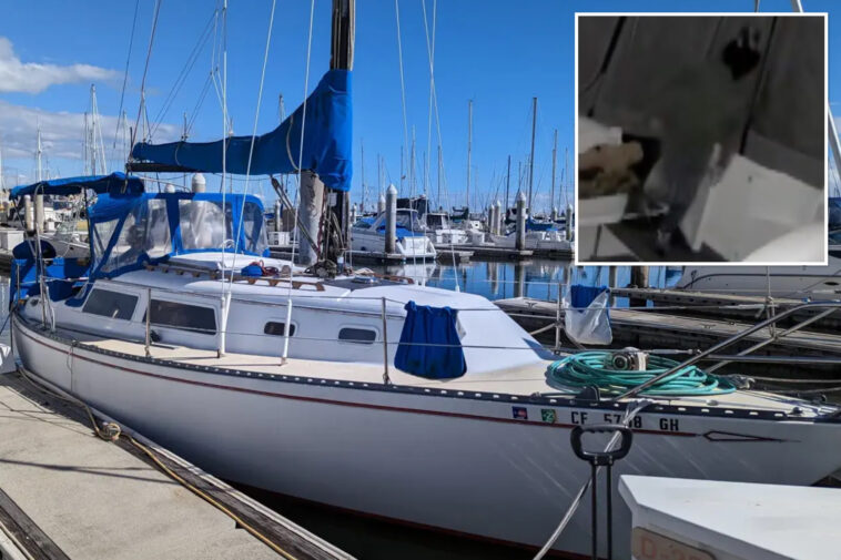 thief’s-cunning-trick-to-hide-heist-of-30-foot-yacht-from-la-marina