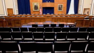 paid-democrats-and-unpaid-tsa-agents-have-one-thing-in-common