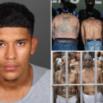 babyfaced-ms-13-gangster-from-el-salvador-learns-fate-for-brutal-murder-in-socal-mountains