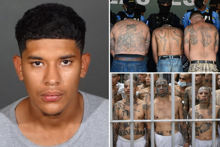 babyfaced-ms-13-gangster-from-el-salvador-learns-fate-for-brutal-murder-in-socal-mountains