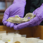 new-studies-of-ancient-dogs-help-scientists-understand-origin-of-humanity’s-closest-companion