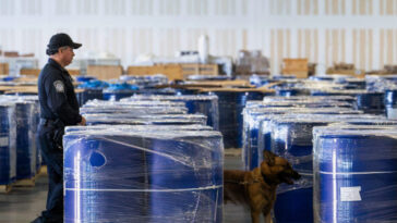 chinese-chemical-companies-charged-in-fentanyl-precursor-supply-scheme-linked-to-mexico’s-gulf-cartel