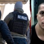 suspect-in-fatal-new-jersey-hit-and-run-crash-is-illegal-alien,-fugitive:-dhs